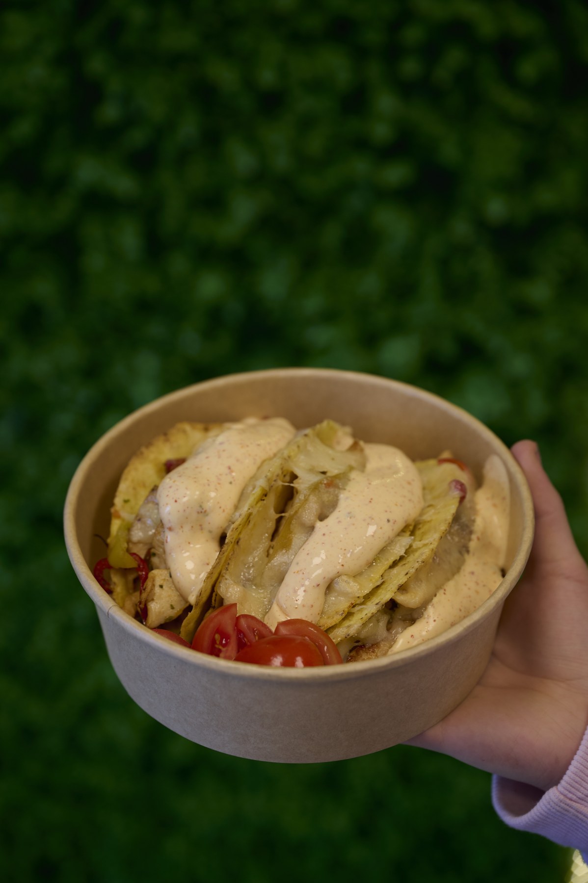 Chicken Crunchy Taco Pockets